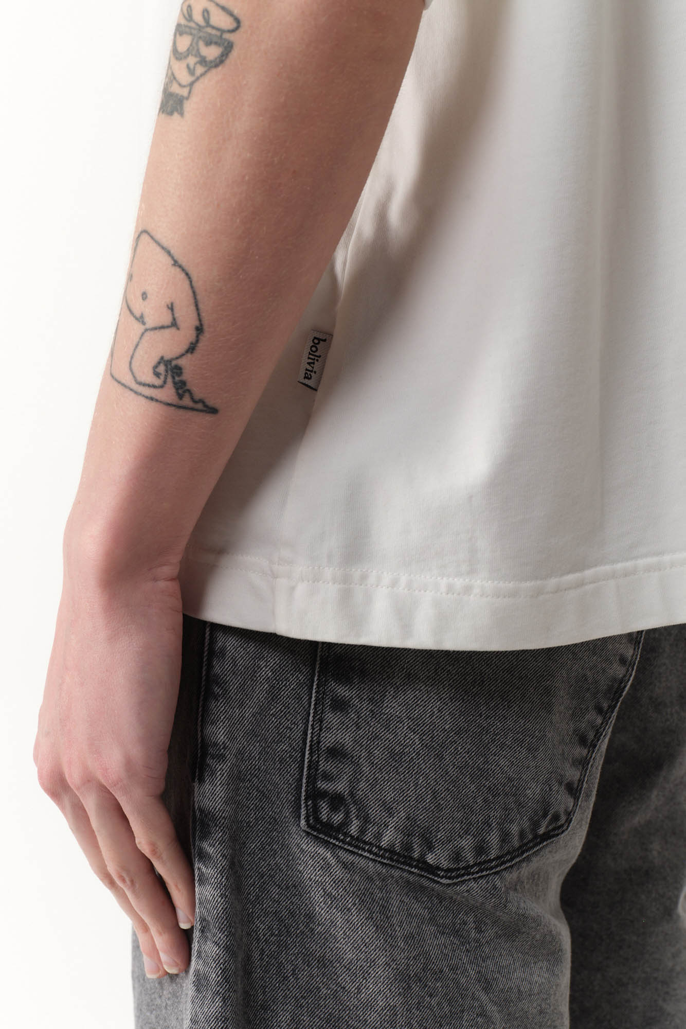 BS2600046-00 - REMERON ANTOFALLA CROPPED