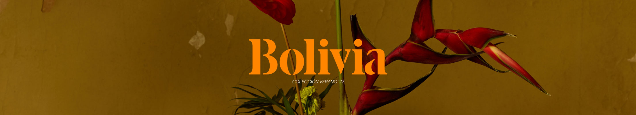 COLECCIÓN VERANO 27